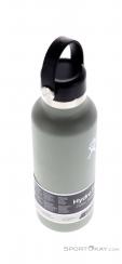 Hydro Flask 18oz Standard Flex Cap 532ml Bouteille thermos, Hydro Flask, Vert, , , 0311-10072, 5638137599, 810070085605, N3-18.jpg