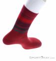 Endura Babaa Merino Stripe Biking Socks, Endura, Dark-Red, , Male,Female,Unisex, 0409-10238, 5638158501, 5055939966861, N3-18.jpg