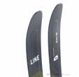 Line Blade Optic 96 Freeride Skis 2024, Line, Gray, , Male,Female,Unisex, 0328-10030, 5638160165, 196222120227, N3-18.jpg