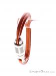 Petzl Rocha Mousqueton HMS, , Orange, , Hommes,Femmes,Unisex, 0074-10462, 5638164248, , N2-07.jpg