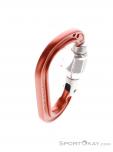 Petzl Rocha Mousqueton HMS, , Orange, , Hommes,Femmes,Unisex, 0074-10462, 5638164248, , N3-18.jpg