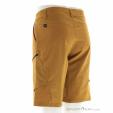 Salewa Puez DST Cargo Mens Outdoor Shorts, , Brown, , Male, 0032-11306, 5638165643, , N1-11.jpg