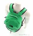 The North Face Borealis 28l Backpack, The North Face, Green, , Male,Female,Unisex, 0205-10930, 5638166717, 196575376982, N4-04.jpg