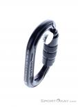 Edelrid Kiwi Triple Schraubkarabiner, Edelrid, Schwarz, , Herren,Damen,Unisex, 0084-10521, 5638177588, 4028545153445, N3-18.jpg