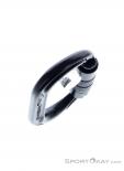 Edelrid Kiwi Triple Schraubkarabiner, Edelrid, Schwarz, , Herren,Damen,Unisex, 0084-10521, 5638177588, 4028545153445, N4-19.jpg