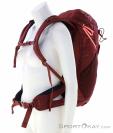 Salewa Alp Trainer 20l Women Backpack, , Red, , Female, 0032-11474, 5638181229, , N1-16.jpg