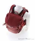 Salewa Alp Trainer 20l Women Backpack, , Red, , Female, 0032-11474, 5638181229, , N4-04.jpg