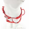 Ocun Twist Kids Climbing Harness, , Red, , Boy,Girl, 0290-10334, 5638184049, 8591804667053, N4-04.jpg