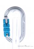 Edelrid Kiwi Triple Moschettone a Vite, Edelrid, Argento, , Uomo,Donna,Unisex, 0084-10521, 5638185611, 4028545196534, N1-11.jpg