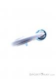 Edelrid Kiwi Triple Screwgate Carabiner, Edelrid, Silver, , Male,Female,Unisex, 0084-10521, 5638185611, 4028545196534, N5-20.jpg