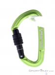 Salewa Hot G3 Screwgate Carabiner, Salewa, Green, , Male,Female,Unisex, 0032-11483, 5638185670, 4053866311557, N1-11.jpg