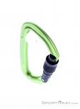 Salewa Hot G3 Screwgate Carabiner, , Green, , Male,Female,Unisex, 0032-11483, 5638185670, , N3-03.jpg