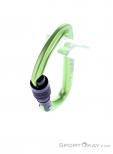 Salewa Hot G3 Screwgate Carabiner, , Green, , Male,Female,Unisex, 0032-11483, 5638185670, , N3-08.jpg