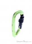 Salewa Hot G3 Screwgate Carabiner, , Green, , Male,Female,Unisex, 0032-11483, 5638185670, 4053866311557, N3-18.jpg