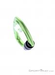 Salewa Hot G3 Screwgate Carabiner, , Green, , Male,Female,Unisex, 0032-11483, 5638185670, , N4-04.jpg