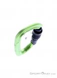 Salewa Hot G3 Screwgate Carabiner, Salewa, Green, , Male,Female,Unisex, 0032-11483, 5638185670, 4053866311557, N4-19.jpg