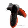 Lowa Amplux Mens Trail Running Shoes, Lowa, Orange, , Male, 0079-10098, 5638187291, 840054479410, N4-04.jpg