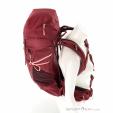 Salewa Alp Trainer 30+3l Damen Rucksack, Salewa, Dunkel-Rot, , Damen, 0032-10806, 5638188688, 4053866695374, N3-08.jpg