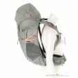 Salewa Alp Trainer 30+3l Damen Rucksack, Salewa, Hell-Grau, , Damen, 0032-10806, 5638188689, 4053866695381, N2-07.jpg