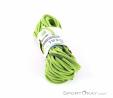 Beal Virus 10mm 50m Corda da Arrampicata, Beal, Verde, , Uomo,Donna,Unisex, 0088-10107, 5638192848, 3700288281395, N2-07.jpg