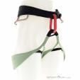 Black Diamond Solution Women Climbing Harness, , Light-Green, , Female, 0056-11154, 5638194586, , N1-01.jpg