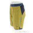 Dynafit Alpine Pro 2in1 Herren Laufshort, Dynafit, Grün, , Herren, 0015-11748, 5638207466, 4053866511094, N2-07.jpg