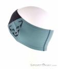 Dynafit Performance 2 Dry Headband, , Green, , Male,Female,Unisex, 0015-11613, 5638211425, 4053866720632, N1-11.jpg