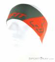 Dynafit Performance 2 Dry Headband, , Olive-Dark Green, , Male,Female,Unisex, 0015-11613, 5638211426, 4053866655408, N1-06.jpg