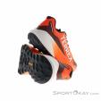 adidas Terrex Agravic 3 Herren Traillaufschuhe, adidas Terrex, Rot, , Herren, 0359-10553, 5638213024, 4067888922271, N1-16.jpg