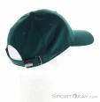 The North Face Recycled 66 Classic Hat Baseball Cap, , Green, , Male,Female,Unisex, 0205-11030, 5638218269, 197064999736, N2-17.jpg