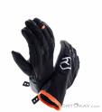 Ortovox Tour Hommes Gants, , Noir, , Hommes, 0016-12040, 5638220525, , N3-18.jpg