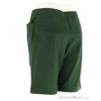 Mammut Massone Shorts Hommes Short d’escalade, Mammut, Vert, , Hommes, 0014-11847, 5638222387, 7619876233325, N1-11.jpg