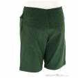 Mammut Massone Shorts Hommes Short d’escalade, Mammut, Vert, , Hommes, 0014-11847, 5638222387, 7619876233325, N2-12.jpg