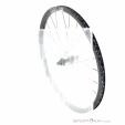 DT Swiss GRC 1100 Dicut 30 DB Carbon 28“ Roue arrière, DT Swiss, Noir, , Unisex, 0369-10065, 5638225662, 7613052304915, N1-16.jpg