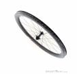 DT Swiss GRC 1100 Dicut 50 DB Carbon 28“ Front Wheel, DT Swiss, Black, , Unisex, 0369-10066, 5638225663, 7613052304861, N5-05.jpg