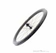 DT Swiss GRC 1100 Dicut 50 DB Carbon 28“ Front Wheel, DT Swiss, Black, , Unisex, 0369-10066, 5638225663, 7613052304861, N5-10.jpg