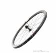 DT Swiss ARC 1100 Dicut 38 DB Carbon 28“ Front Wheel, DT Swiss, Black, , Unisex, 0369-10068, 5638226939, 7613052304946, N5-10.jpg