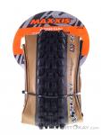 Maxxis Assegai TR DualCompound WT EXO Tire, Maxxis, Black, , Unisex, 0169-10167, 5638227614, 4717784042770, N1-01.jpg