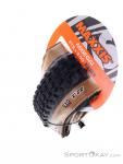 Maxxis Assegai TR DualCompound WT EXO Tire, Maxxis, Black, , Unisex, 0169-10167, 5638227614, 4717784042770, N4-04.jpg