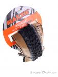 Maxxis Assegai TR DualCompound WT EXO Tire, Maxxis, Black, , Unisex, 0169-10167, 5638227614, 4717784042770, N4-19.jpg