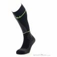 Falke SK Compression Wool W3 Herren Skisocken, Falke, Schwarz, , Herren, 0067-10078, 5638227616, 4043876868677, N1-06.jpg