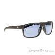 Alpina Nacan I Sunglasses, , Dark-Grey, , Male,Female,Unisex, 0027-10246, 5638227983, , N1-01.jpg