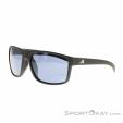 Alpina Nacan I Sunglasses, Alpina, Dark-Grey, , Male,Female,Unisex, 0027-10246, 5638227983, 4003692316509, N1-06.jpg