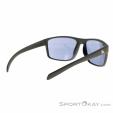 Alpina Nacan I Sonnenbrille, Alpina, Dunkel-Grau, , Herren,Damen,Unisex, 0027-10246, 5638227983, 4003692316509, N1-16.jpg