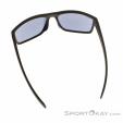 Alpina Nacan I Sunglasses, Alpina, Dark-Grey, , Male,Female,Unisex, 0027-10246, 5638227983, 4003692316509, N3-13.jpg