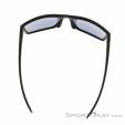 Alpina Nacan I Sunglasses, Alpina, Dark-Grey, , Male,Female,Unisex, 0027-10246, 5638227983, 4003692316509, N4-14.jpg