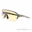 Alpina RAM HR Q-Lite V Lunettes de sport, , Gris foncé, , Hommes,Femmes,Unisex, 0027-10247, 5638227984, , N1-06.jpg