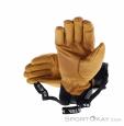 Hestra Fall Line Women Ski Gloves, Hestra, Brown, , Female, 0398-10056, 5638234077, 7332904131638, N2-12.jpg