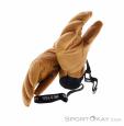 Hestra Fall Line Women Ski Gloves, Hestra, Brown, , Female, 0398-10056, 5638234077, 7332904131638, N3-08.jpg