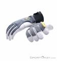 Hestra Ergo Grip Active Handschuhe, Hestra, Grau, , Herren,Damen,Unisex, 0398-10059, 5638234165, 7332904055835, N5-10.jpg